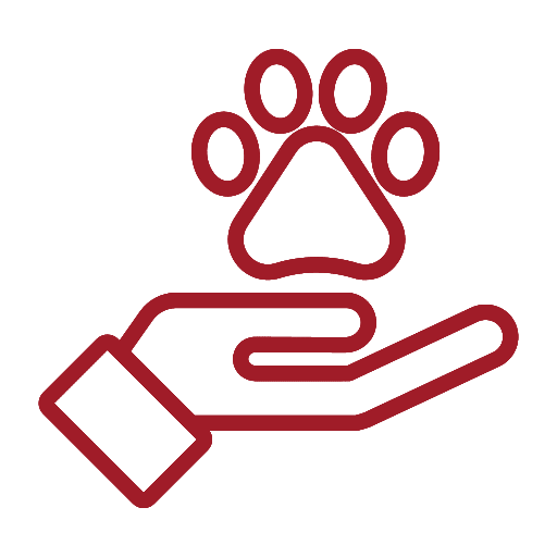 A hand gently holds a paw