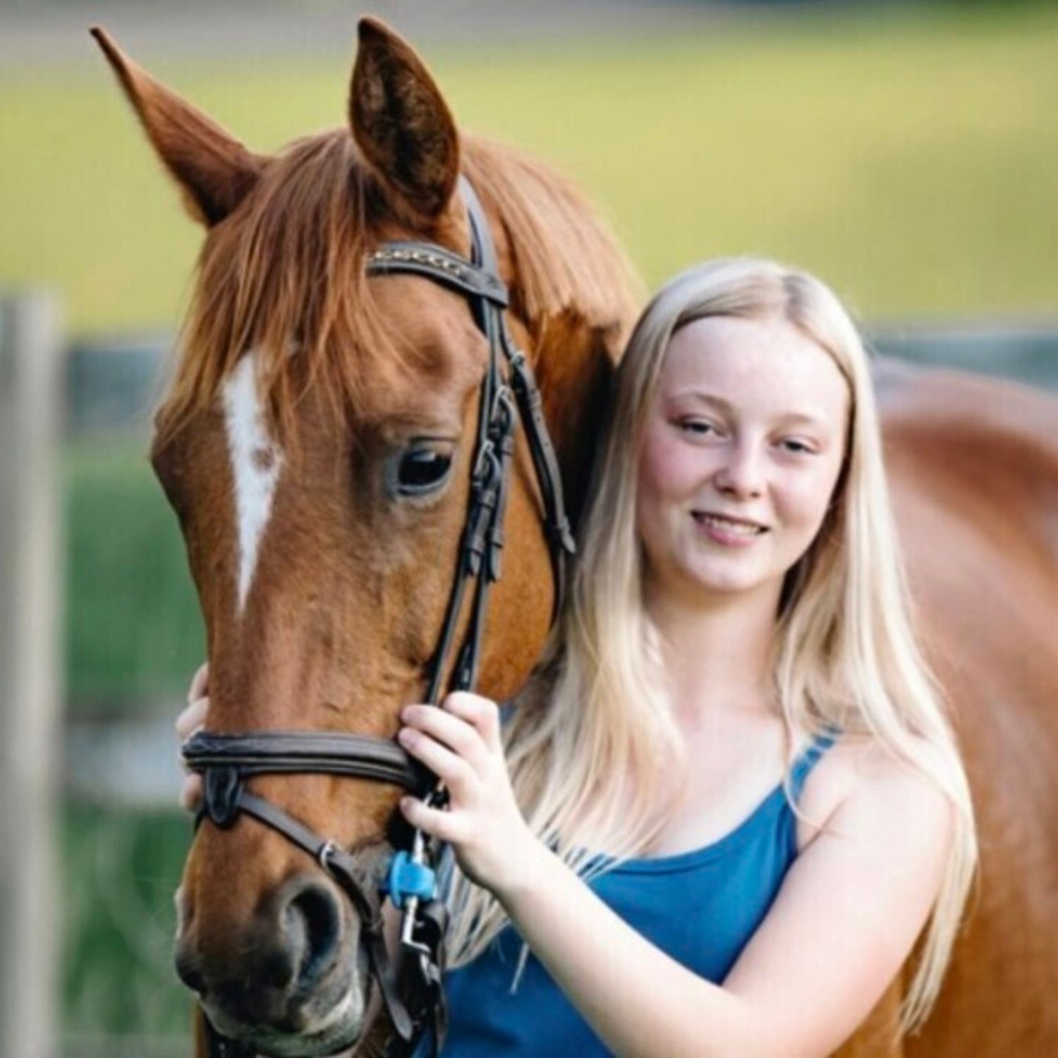 vet with horse